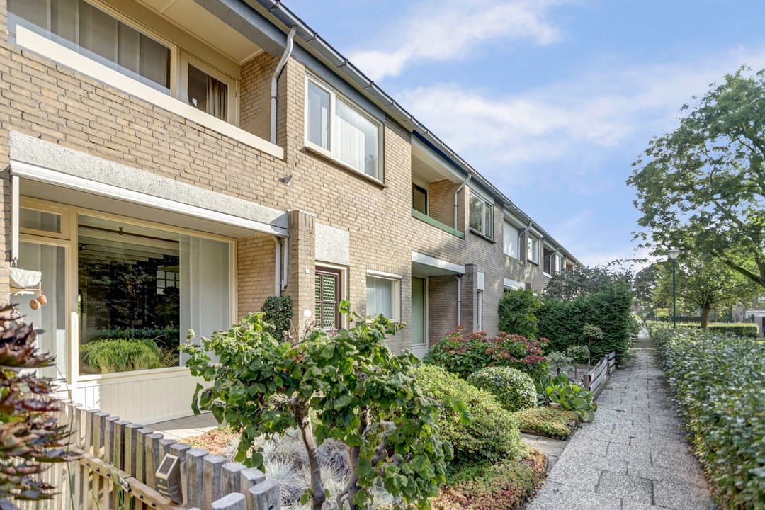 Photo 43 of Dorenbos 33