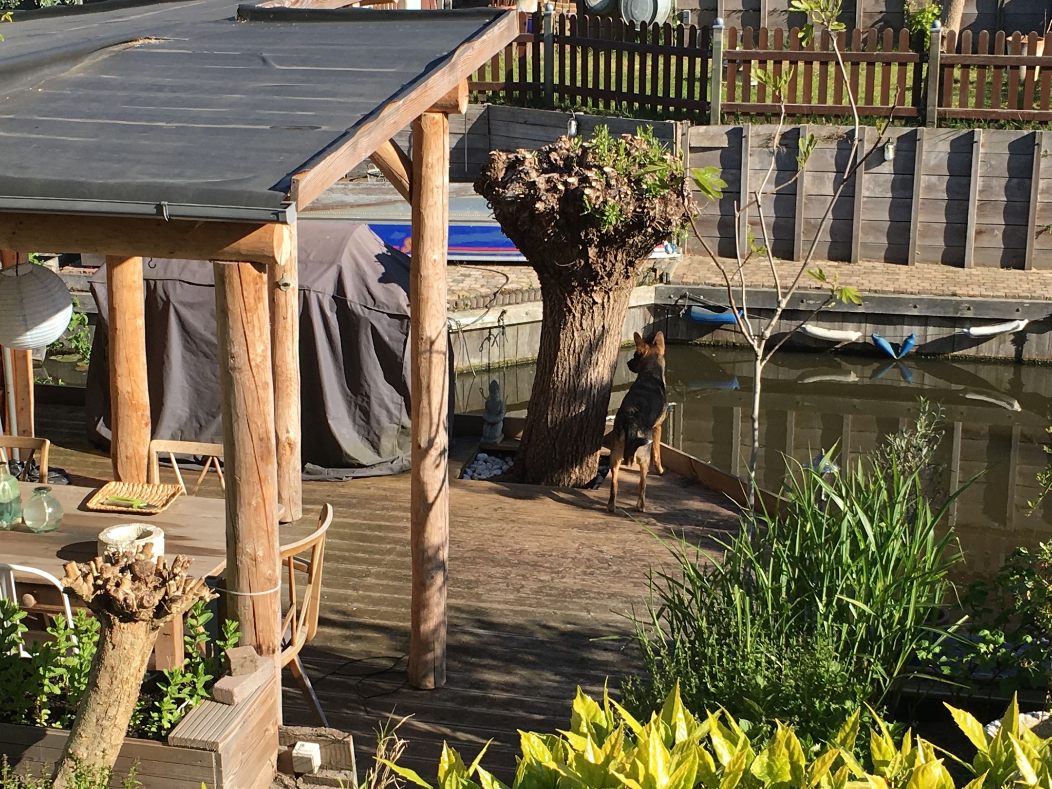 Foto 39 van Het Welvaren 31