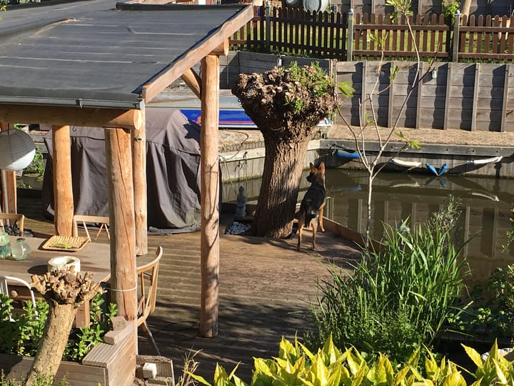 Photo 39 of Het Welvaren 31