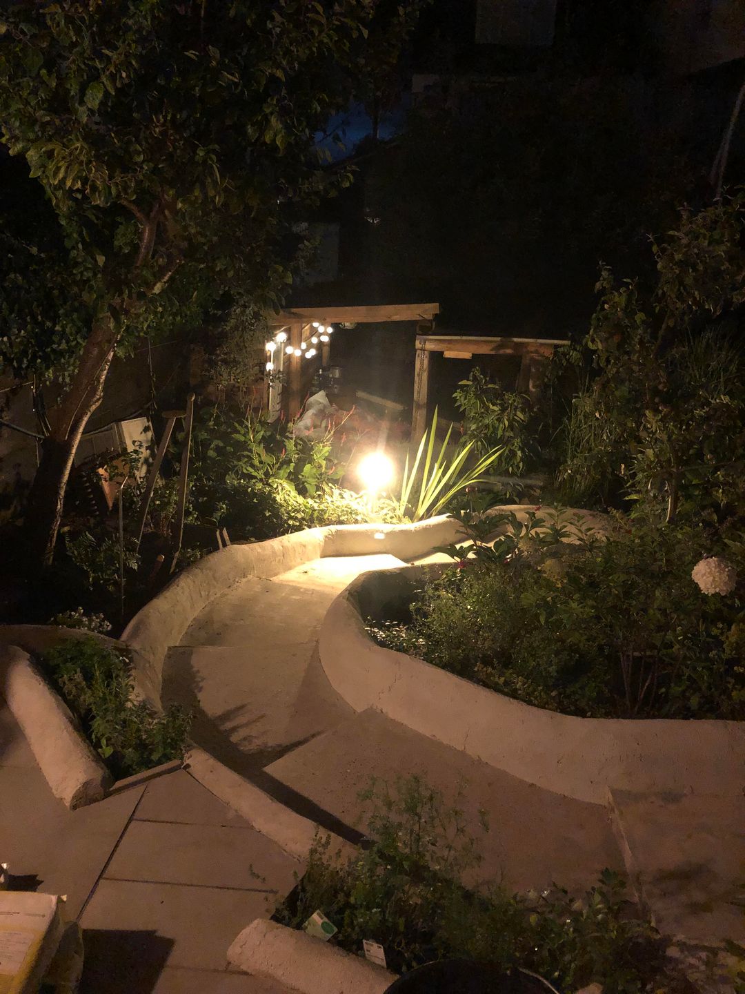 Foto 43 van Het Welvaren 31