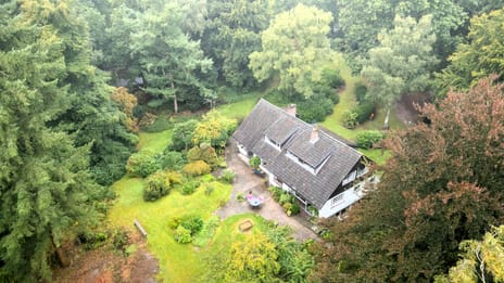 Onder de Bos 163 tertiary image