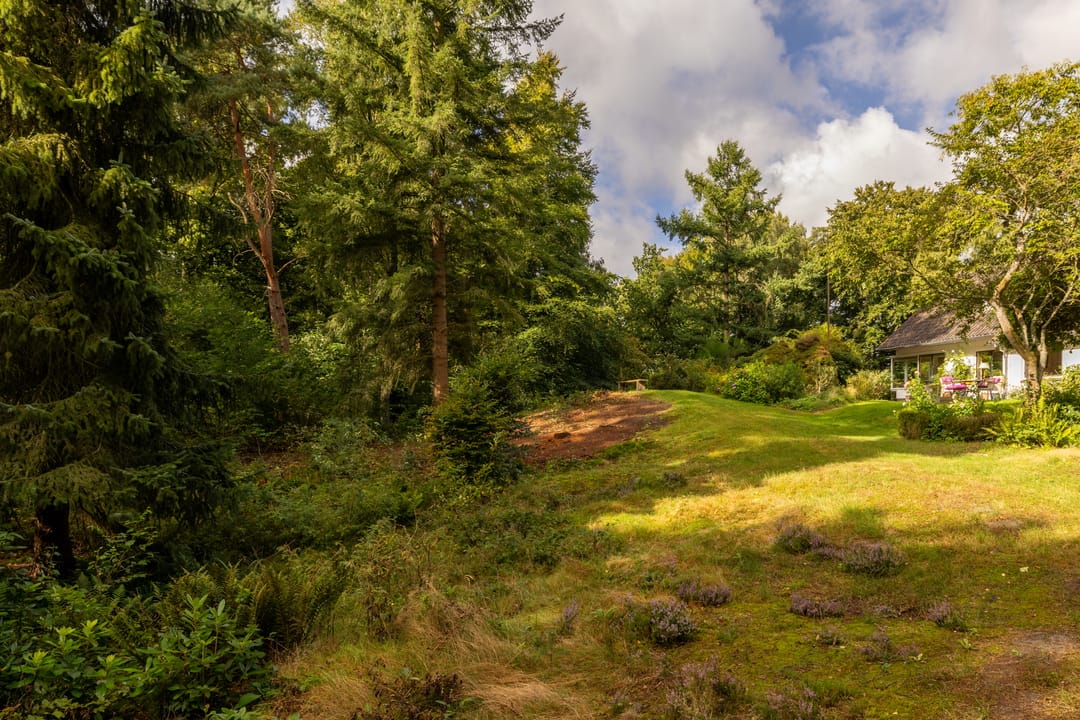 Foto 11 van Onder de Bos 163