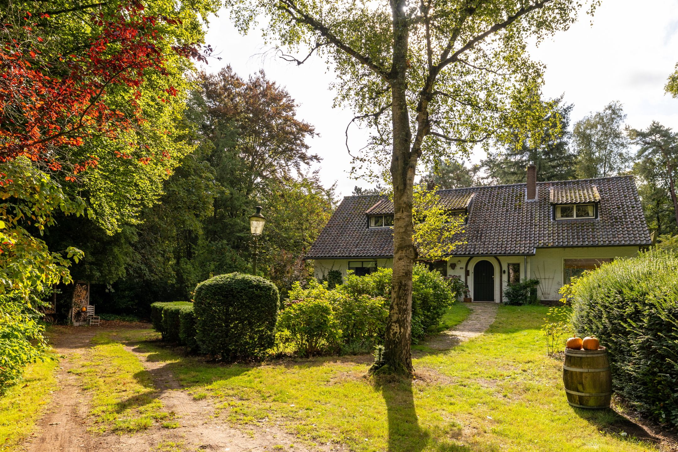 Foto 42 van Onder de Bos 163