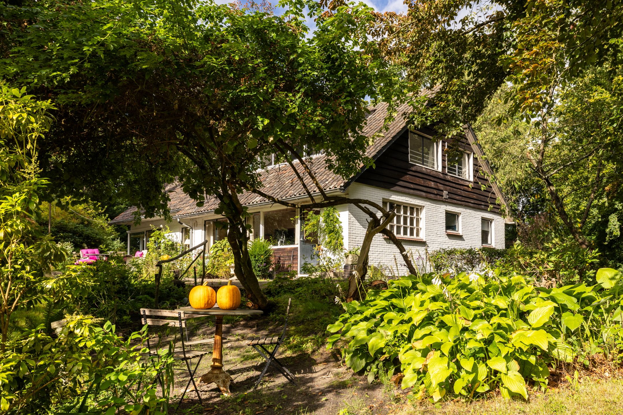 Foto 48 van Onder de Bos 163