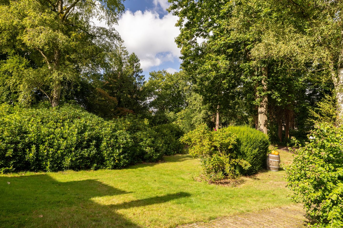 Foto 44 van Onder de Bos 163