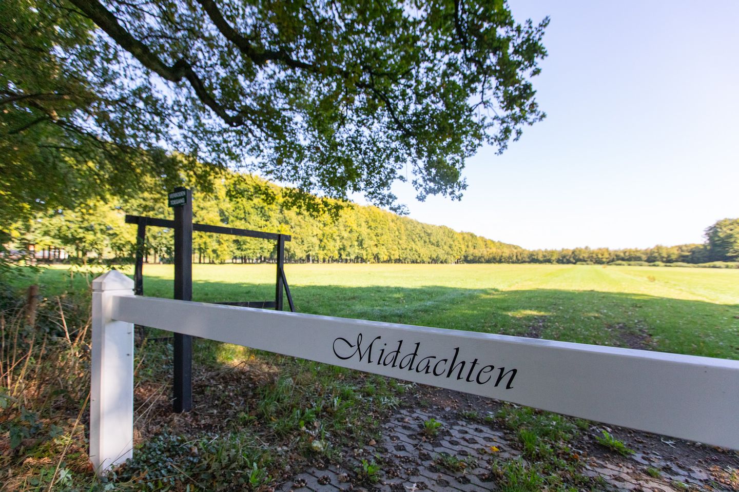 Photo 5 of Ursula van Raesfeltlaan 58