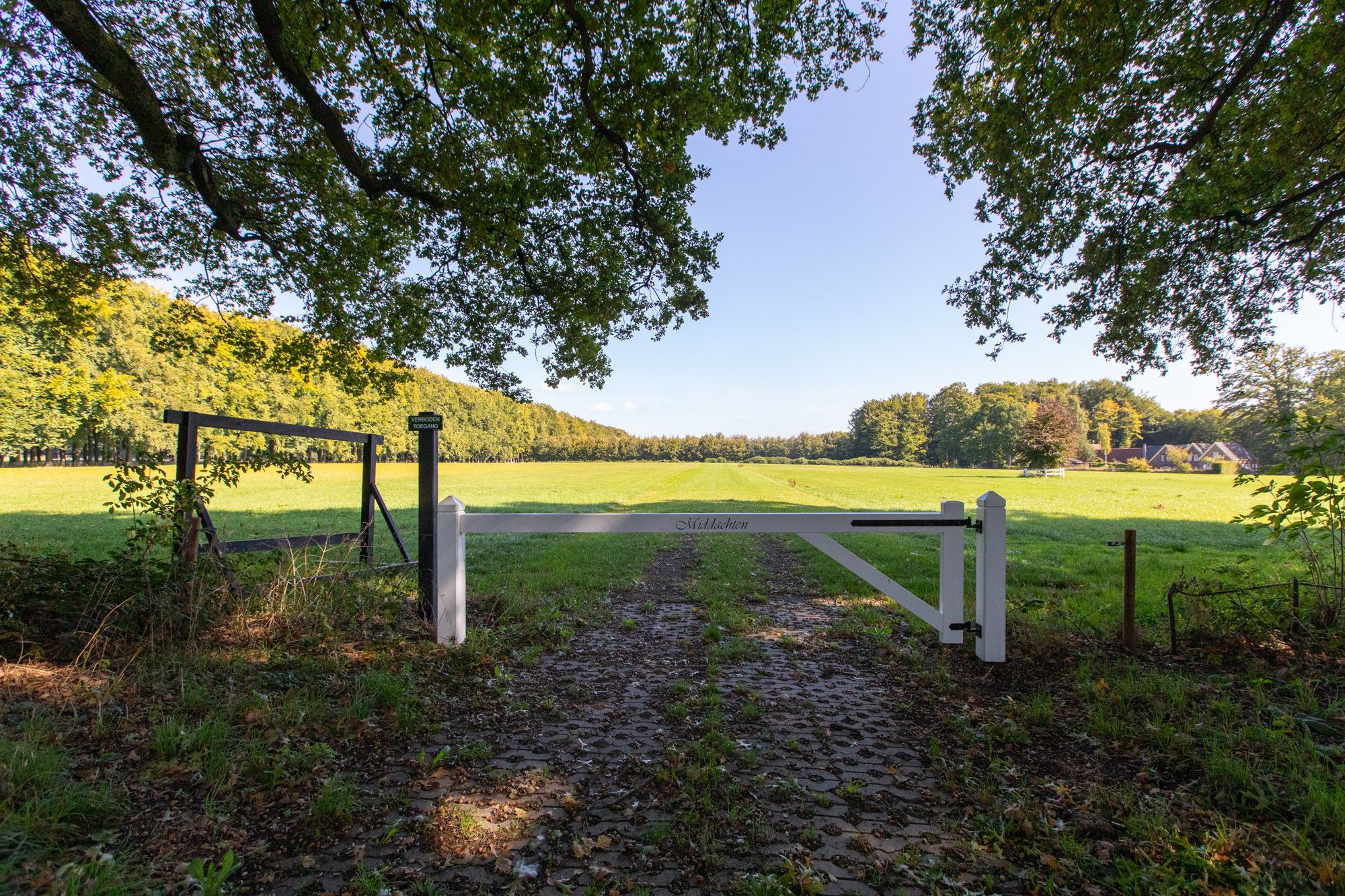 Photo 33 of Ursula van Raesfeltlaan 58