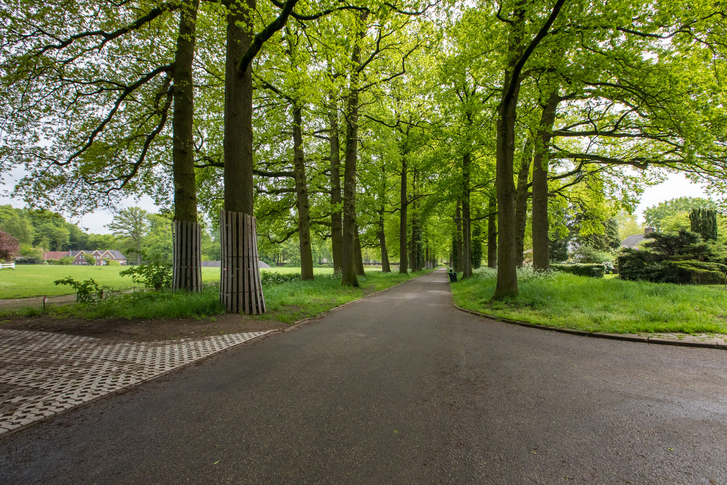 Photo 35 of Ursula van Raesfeltlaan 58