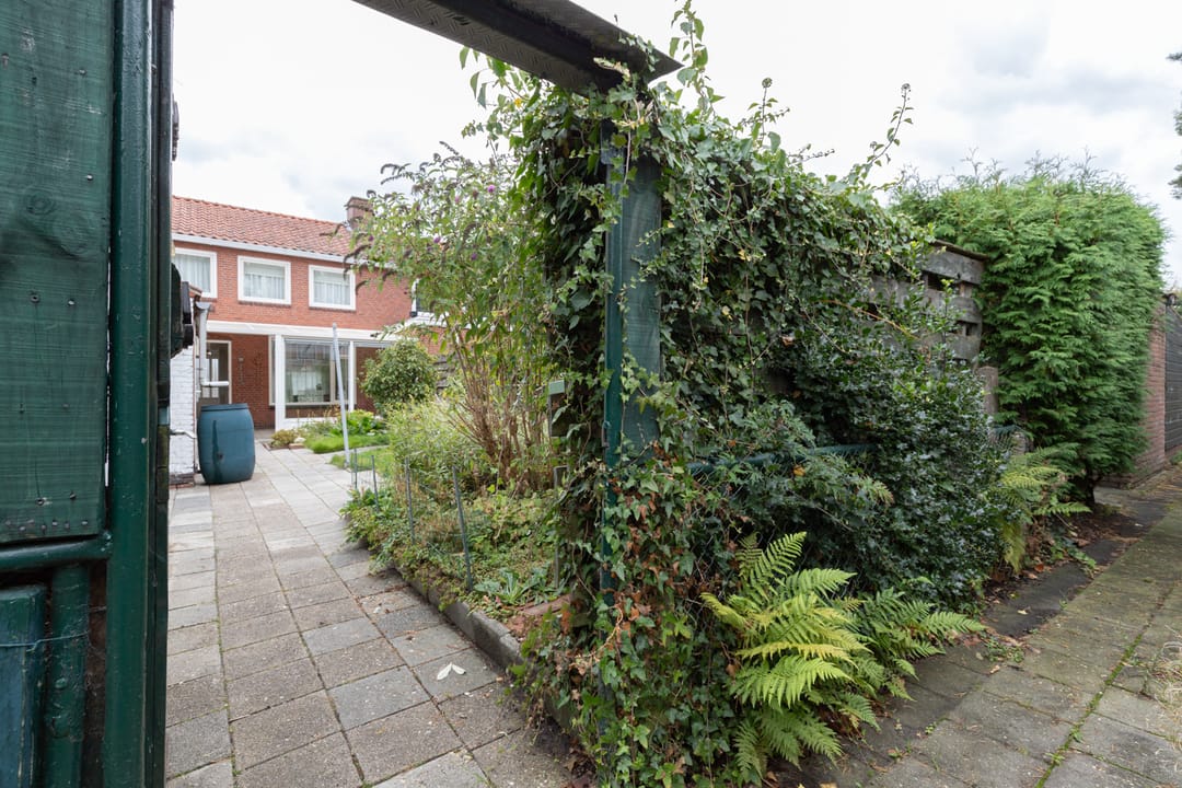 Foto 43 van Beukenlaan 55