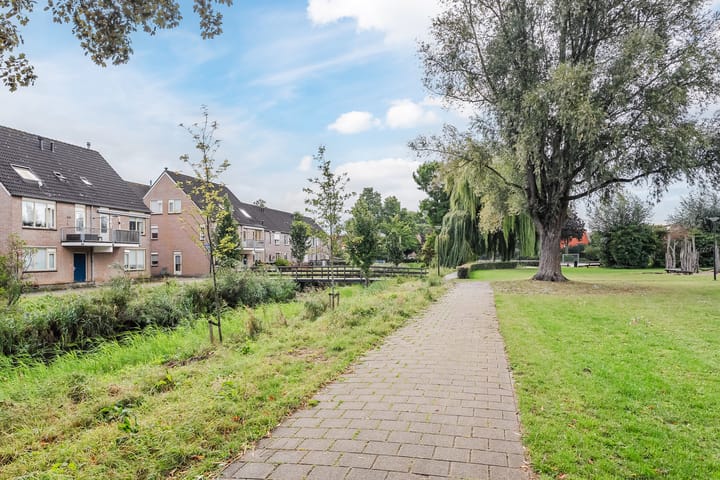 Foto 35 van Hagebeemd 22