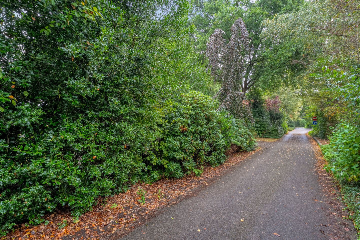 Foto 35 van Zonnebloemweg 10-017