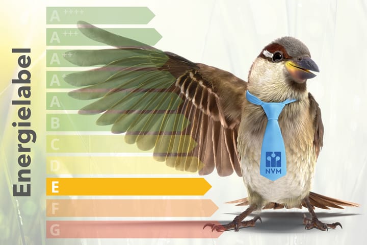 Foto 40 van Steegstraat 76