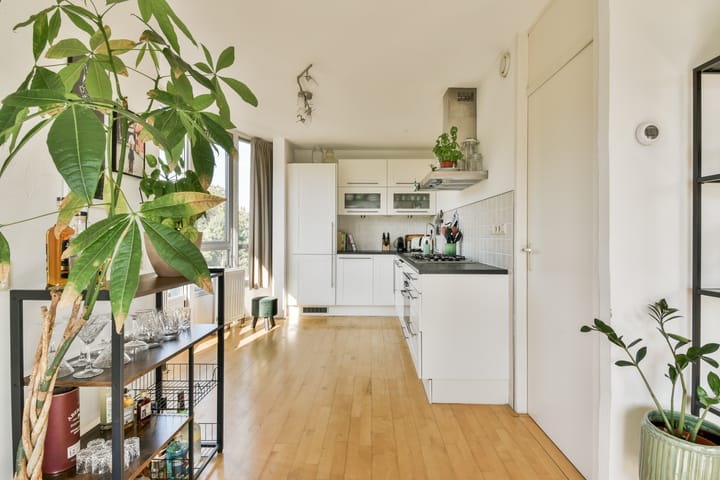 Photo 14 of Plantage Muidergracht 138