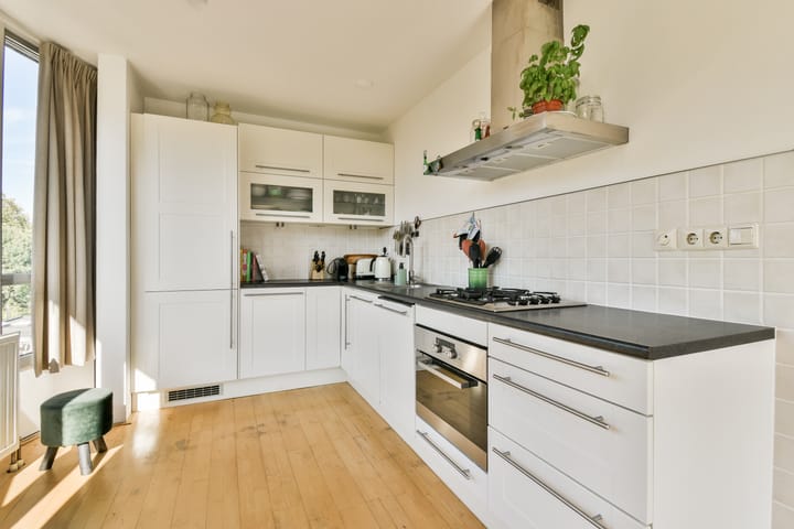 Photo 15 of Plantage Muidergracht 138