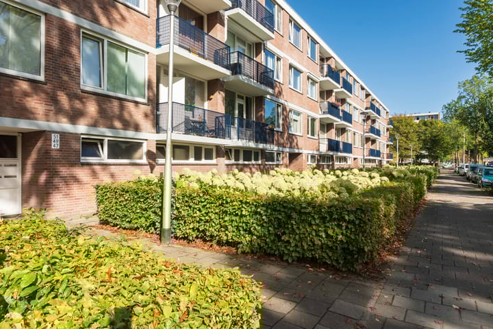 Foto 31 van Academielaan 53