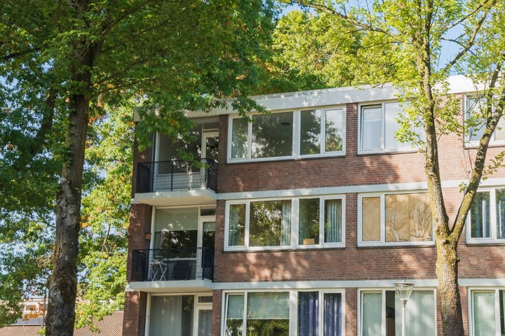 Foto 35 van Academielaan 53