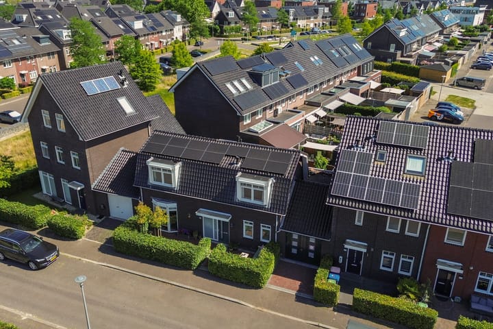 Foto 5 van Citroenvlinder 24