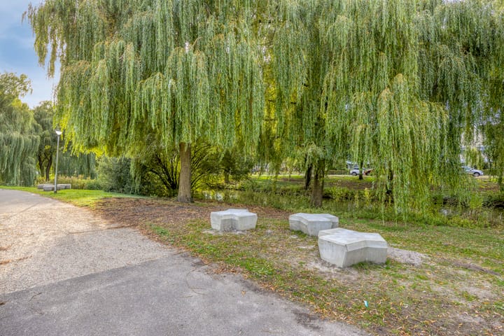 Foto 42 van Megenstraat 54