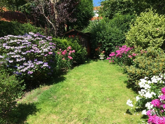 Foto 20 van Kruisbeklaan 41