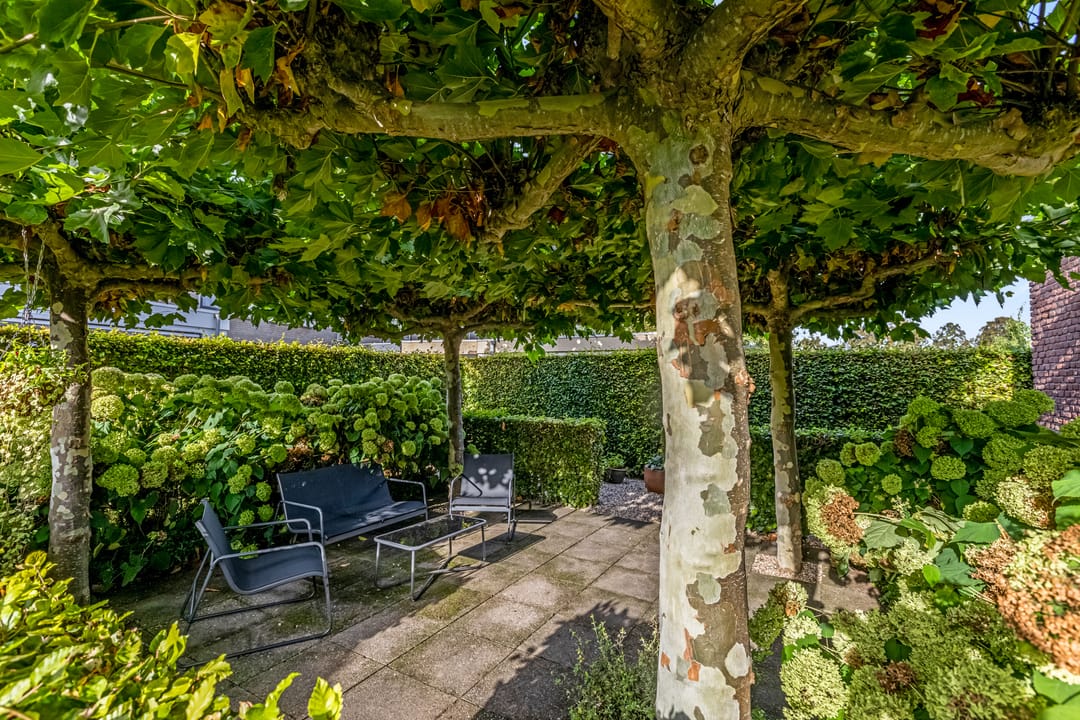 Foto 52 van van Bylandtstraat 4