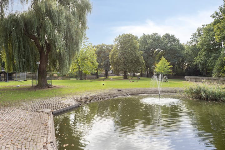 Foto 46 van Monseigneur Borretstraat 35