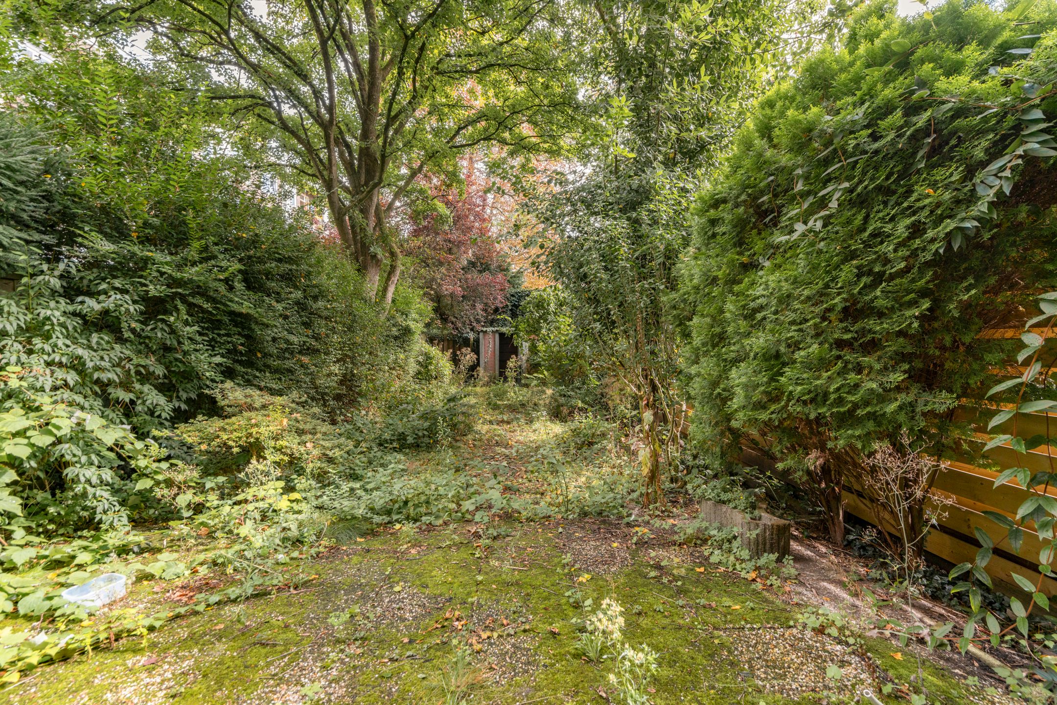 Foto 12 van Dintelstraat 35-H