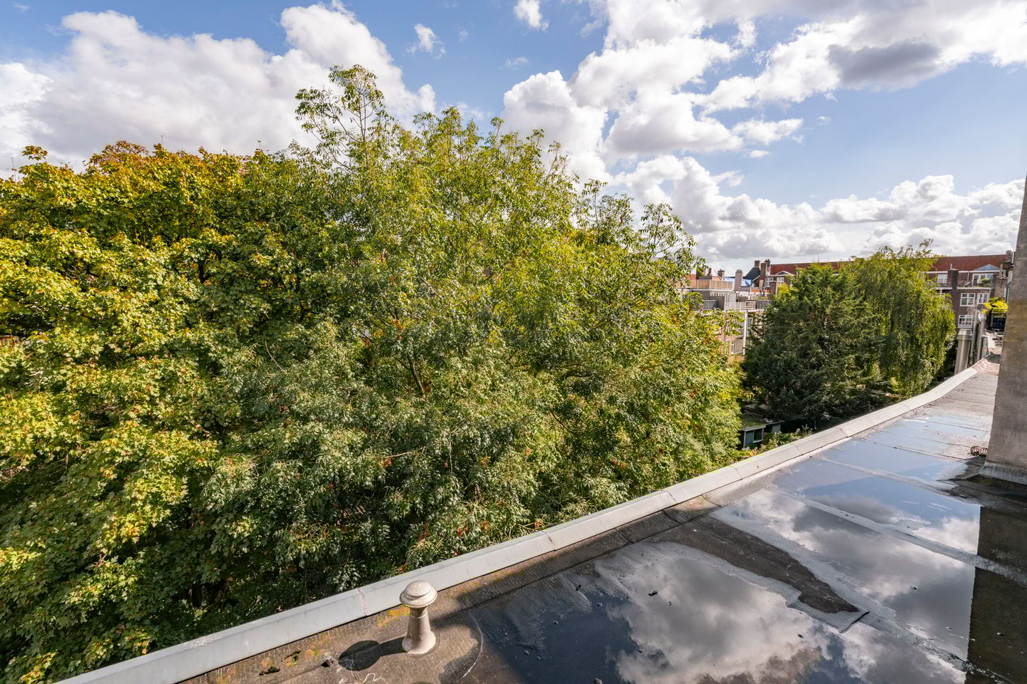 Foto 50 van Dintelstraat 35-H