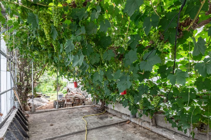 Photo 47 of Oudeweg 78