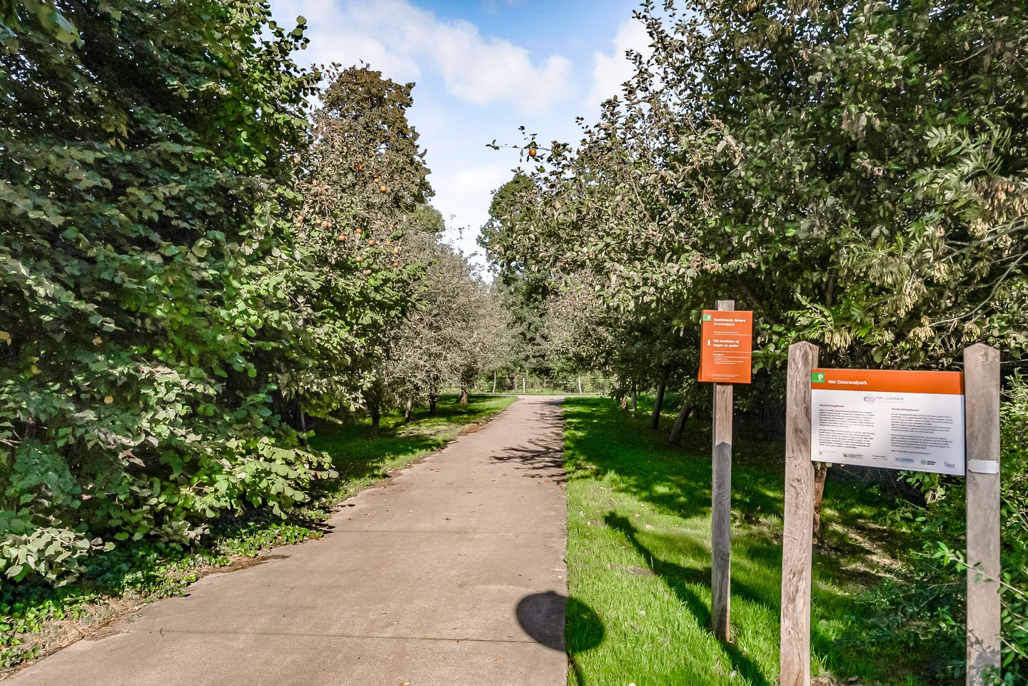 Foto 89 van Dagobertstraat 3