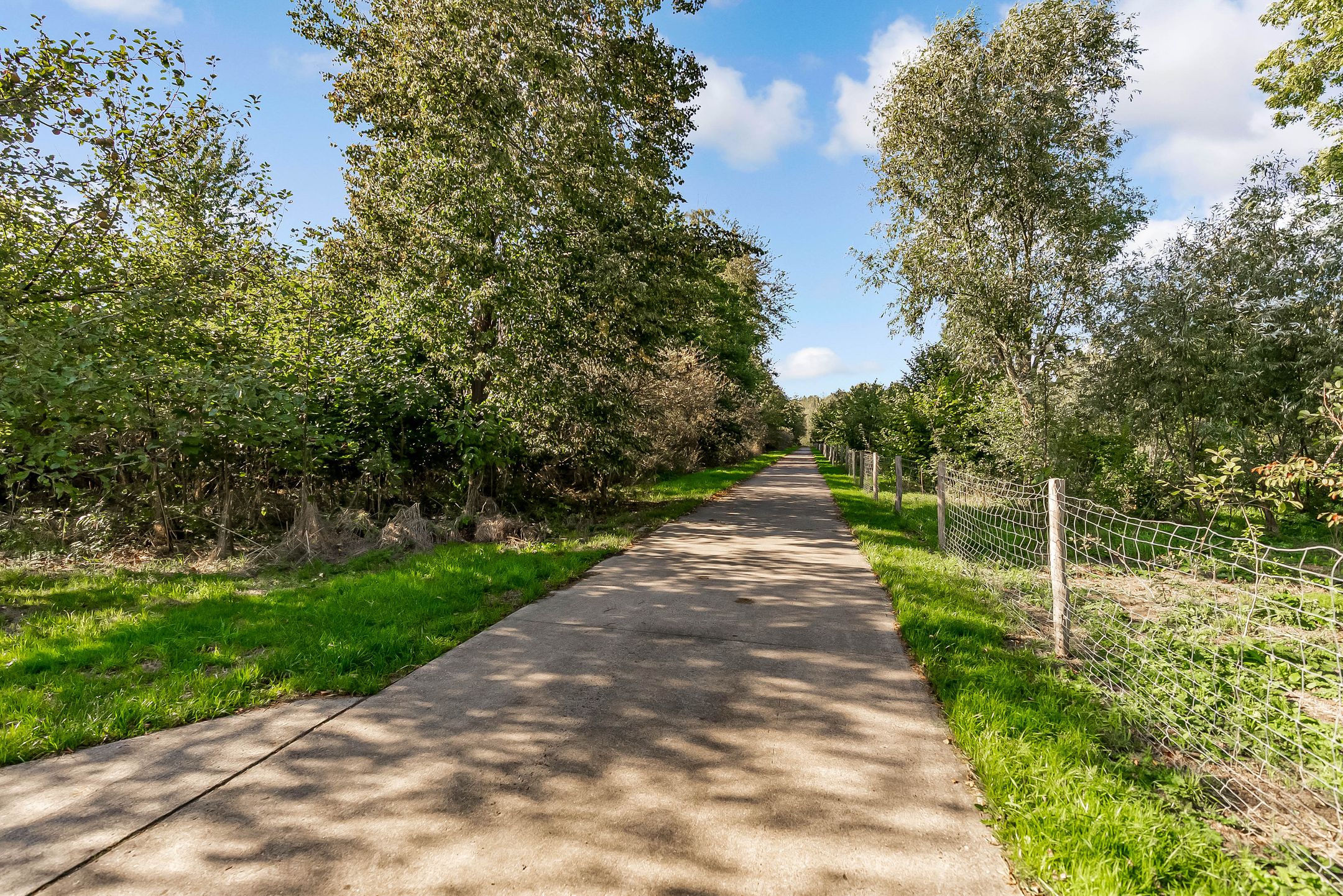 Foto 90 van Dagobertstraat 3