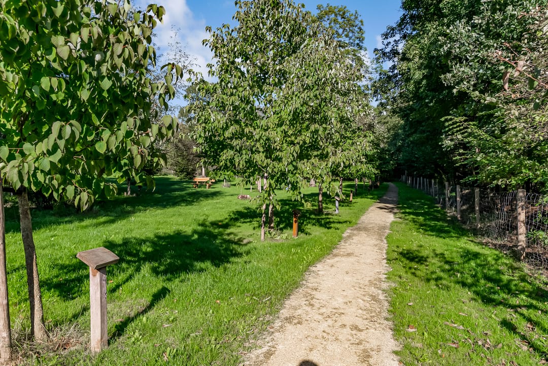 Foto 91 van Dagobertstraat 3