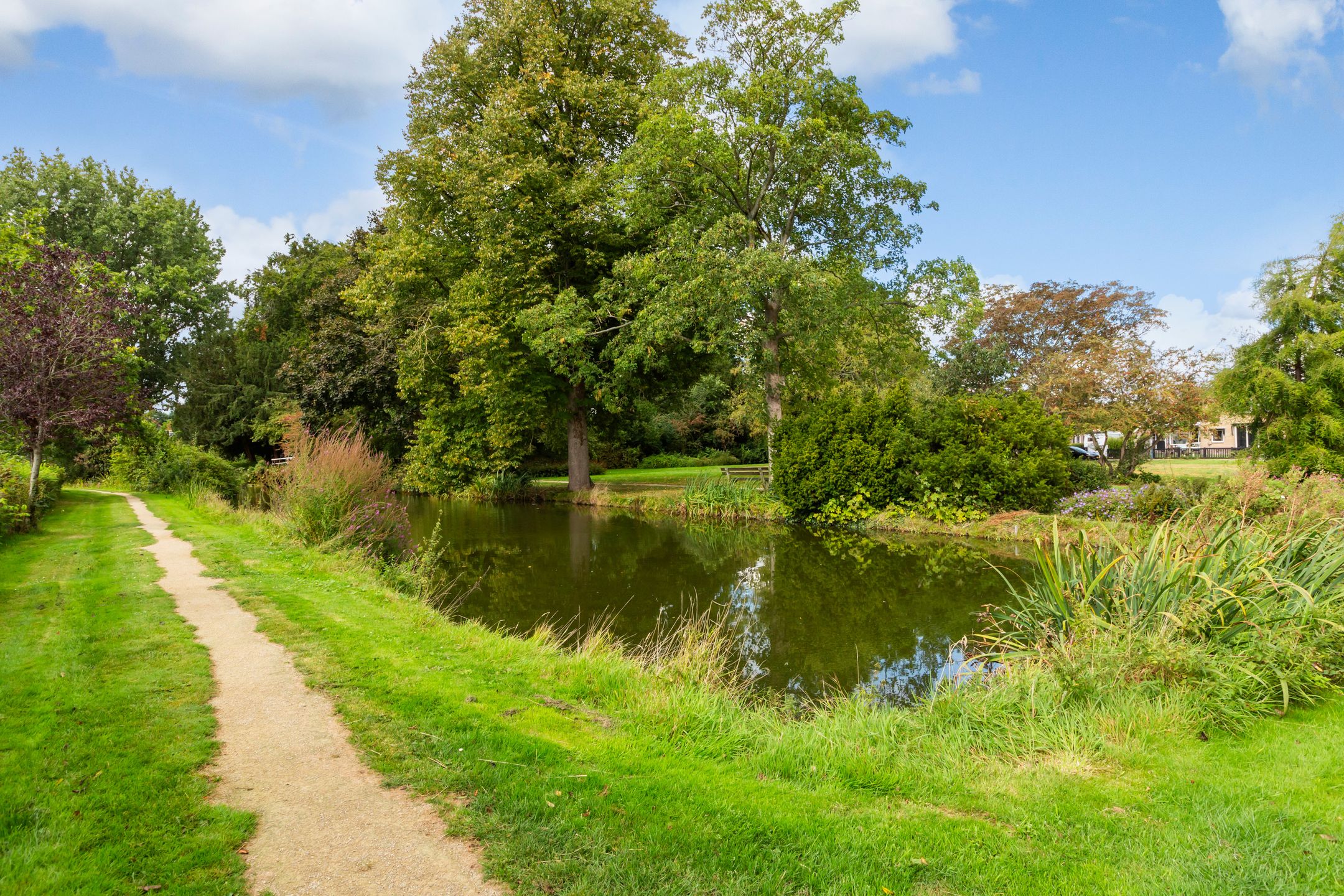 Foto 36 van Burg. Brediusstraat 3