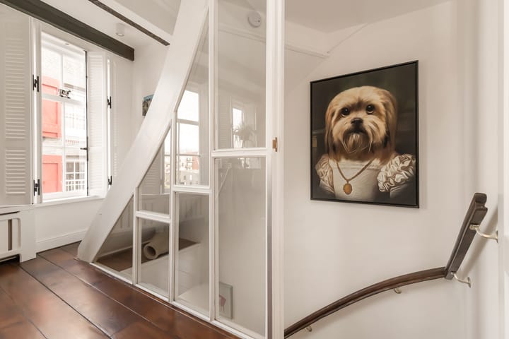 Photo 36 of Prinseneiland 33