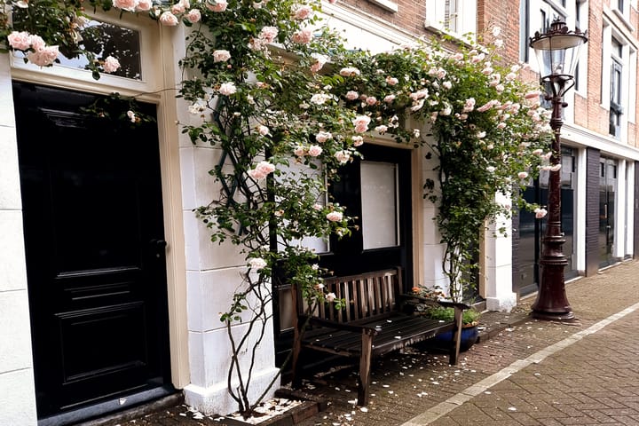 Photo 48 of Prinseneiland 33