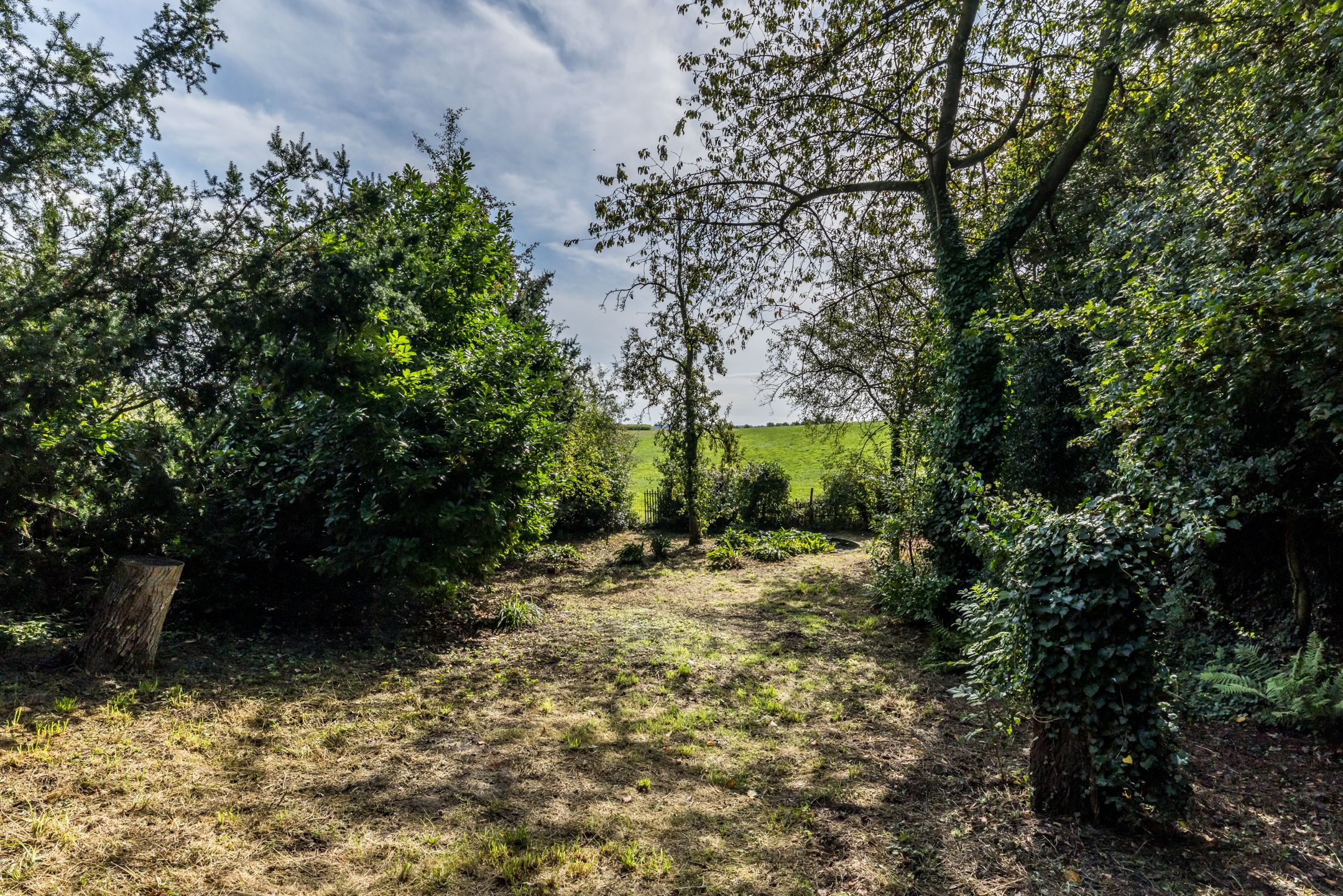 Foto 3 van Dorpsstraat 46