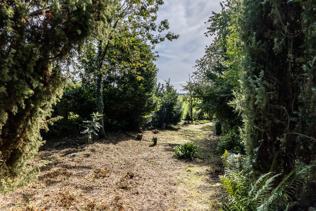 Foto 47 van Dorpsstraat 46