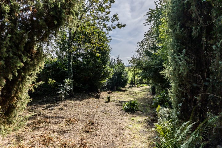 Photo 48 of Dorpsstraat 46