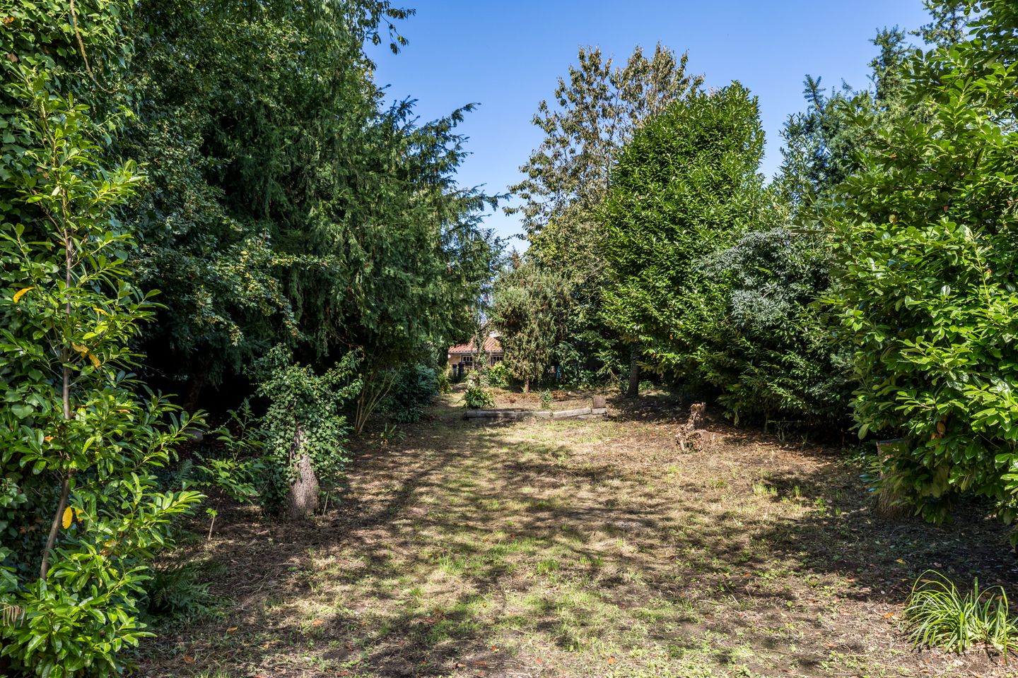 Foto 50 van Dorpsstraat 46