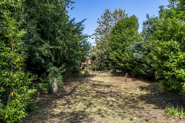 Photo 51 of Dorpsstraat 46