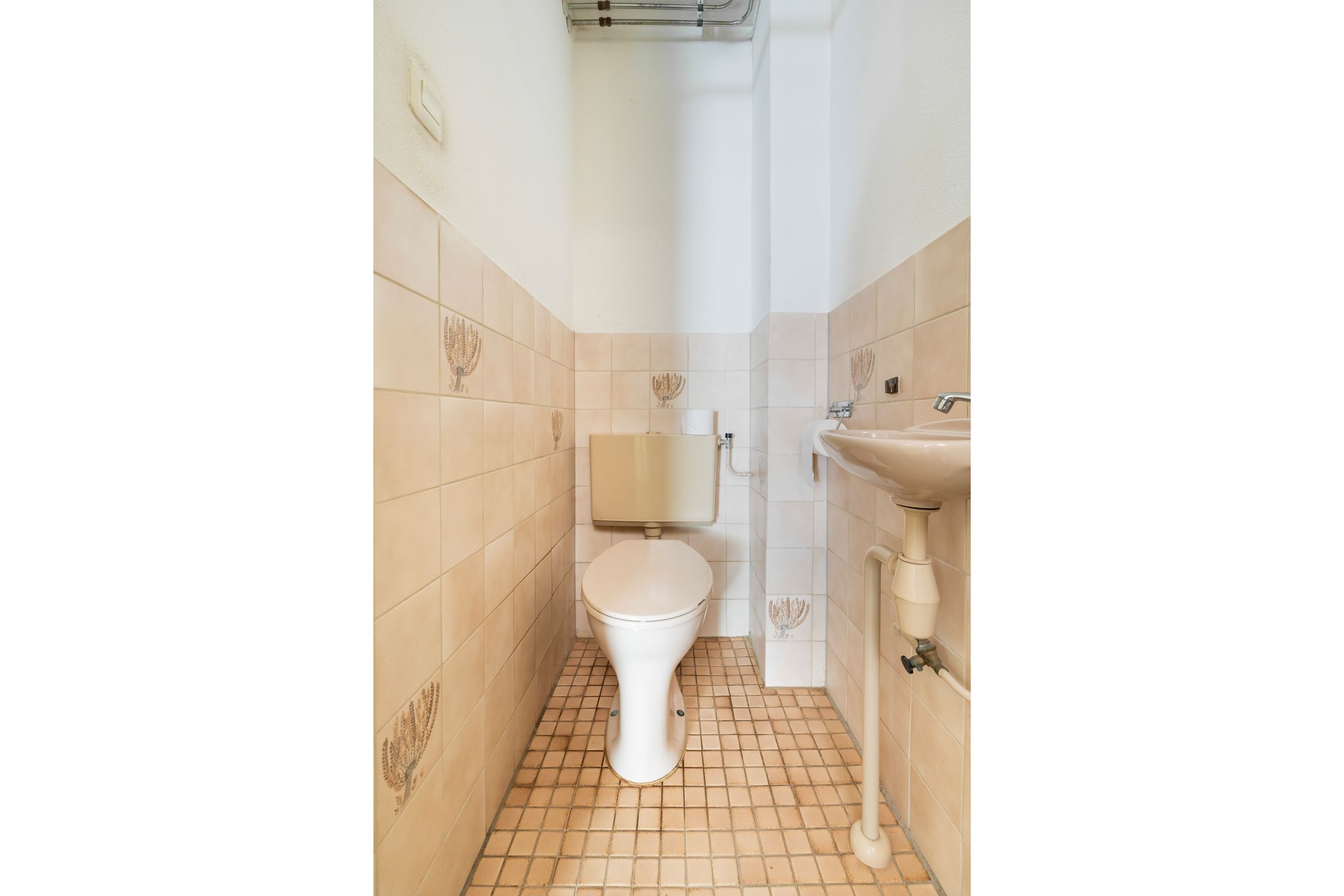 Foto 9 van Hovenier 13