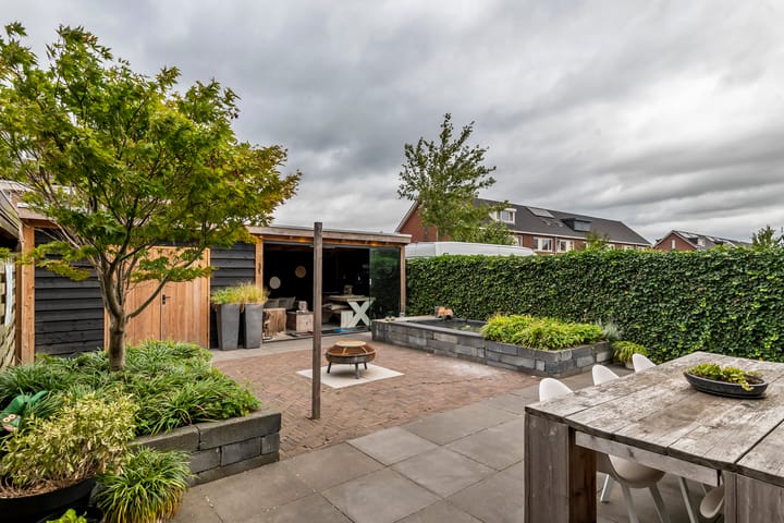 Photo 27 of Aardbeivlinder 112