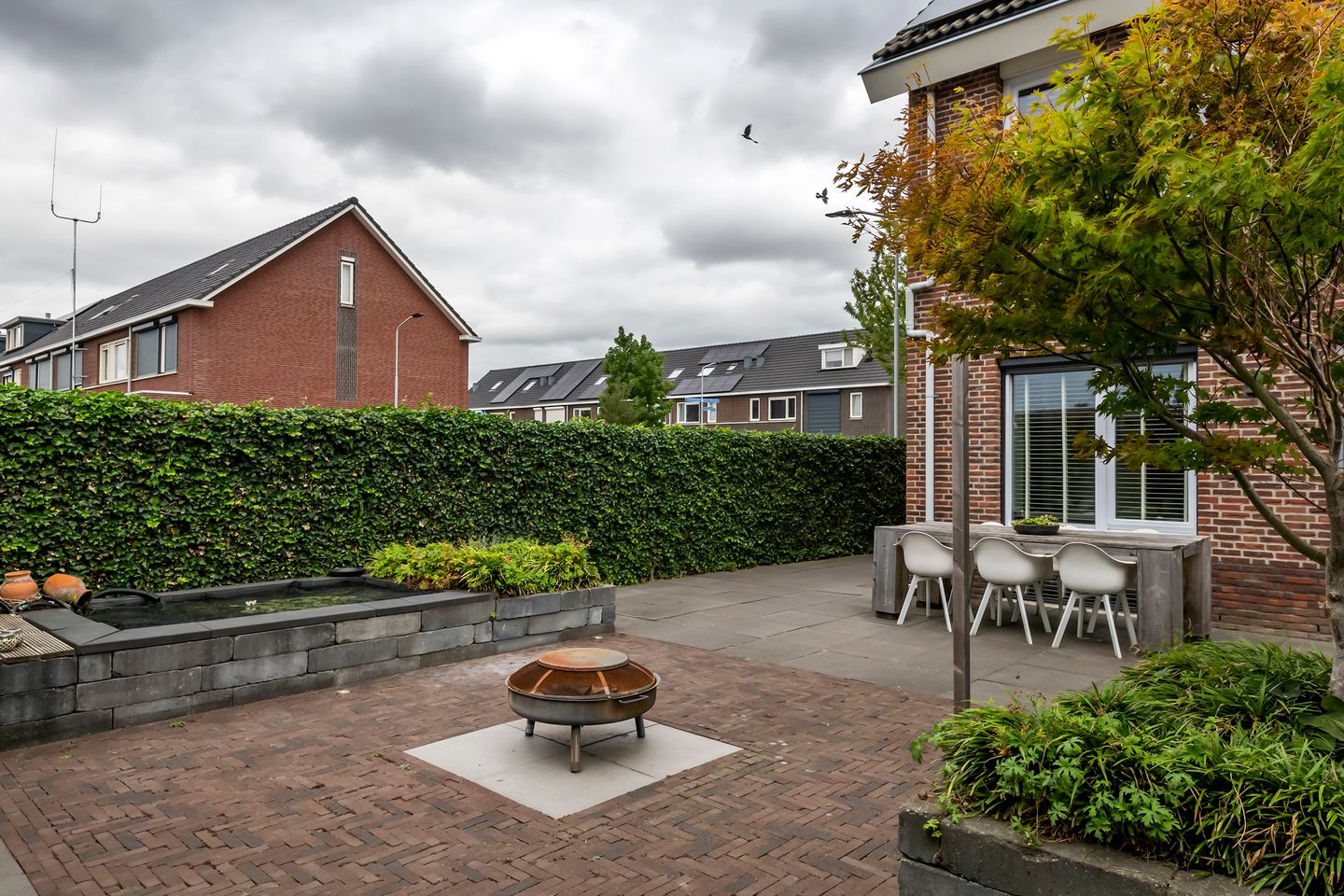 Foto 29 van Aardbeivlinder 112