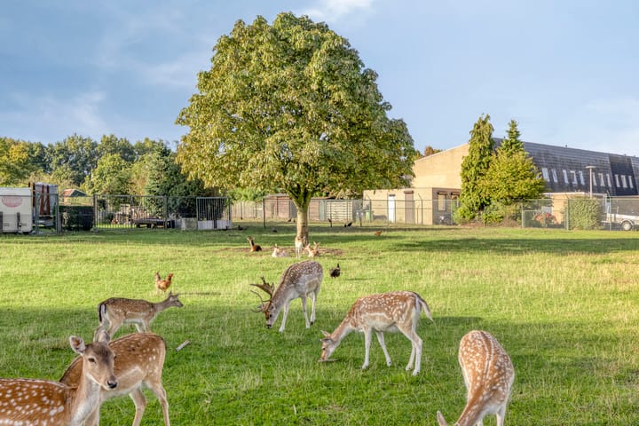 Foto 3 van Oostlaan 107