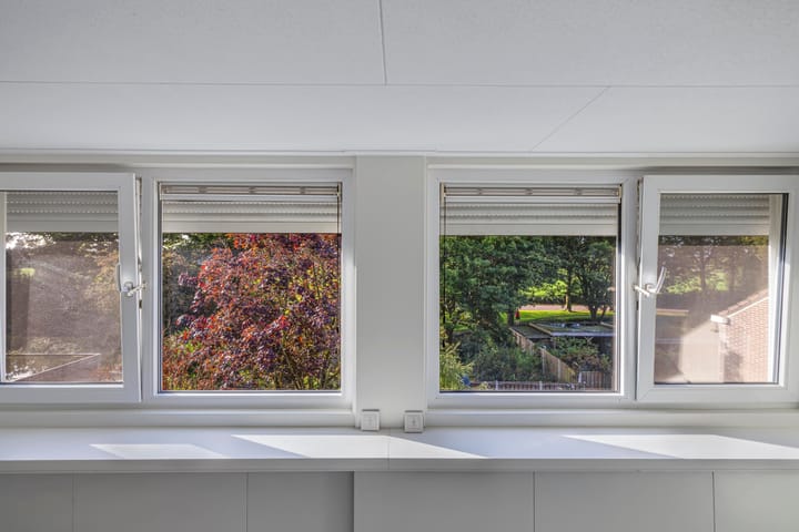 Foto 47 van Middelplaat 56