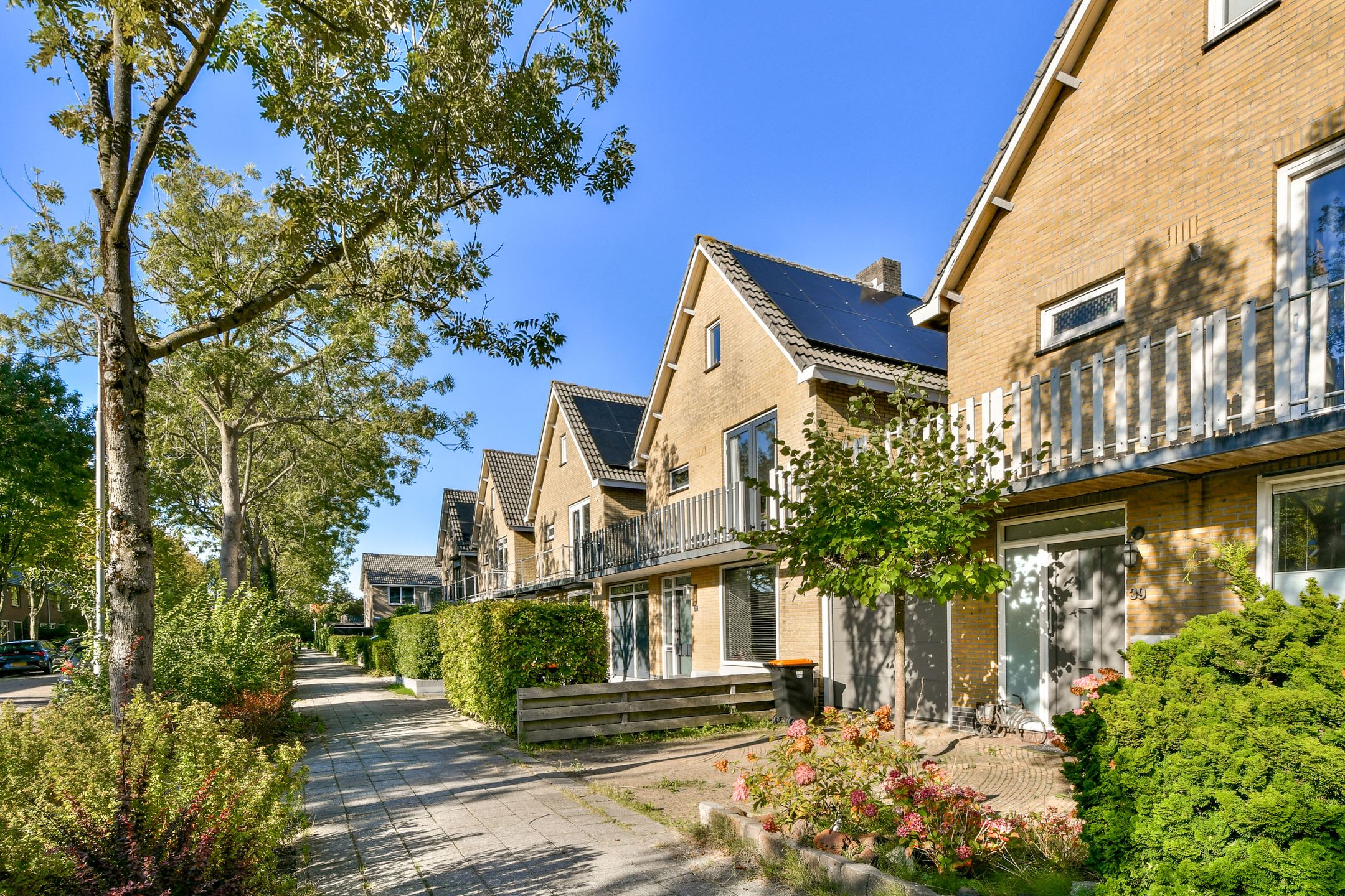 Foto 36 van Anemoonstraat 37