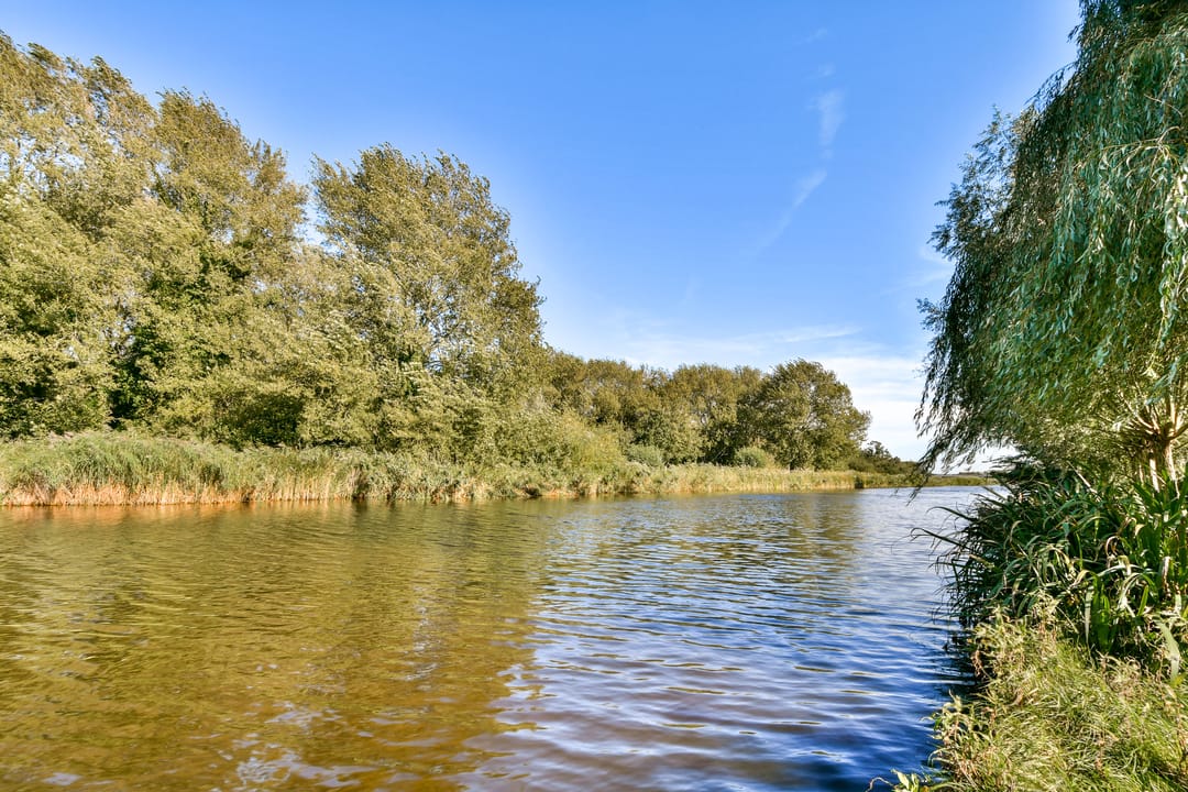 Foto 38 van Anemoonstraat 37