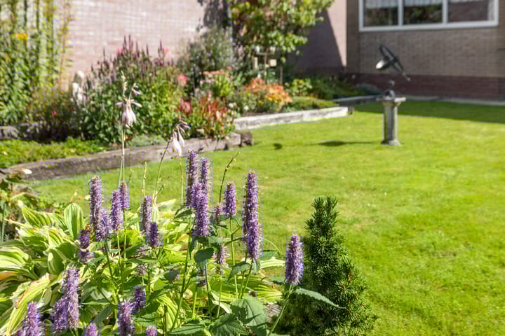 Foto 5 van Vroonlandseweg 70