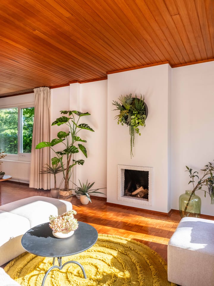 Foto 9 van Joseph Bech-Nes 21