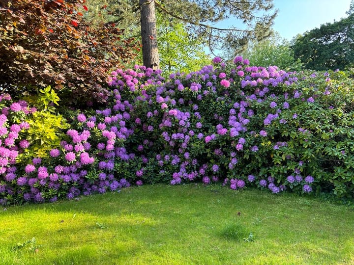 Foto 30 van Joseph Bech-Nes 21