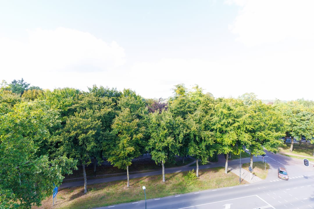 Photo 22 of Loseweg 299